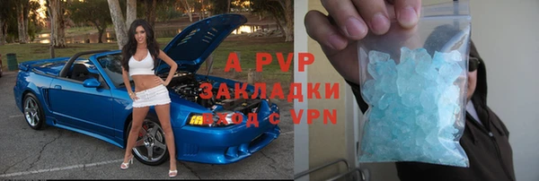 индика Аркадак
