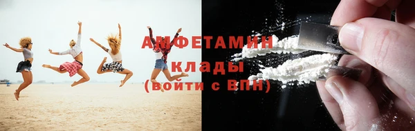 индика Аркадак