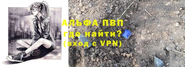 индика Аркадак