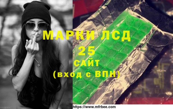 индика Аркадак