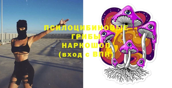 индика Аркадак