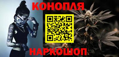 прущие грибы Малгобек