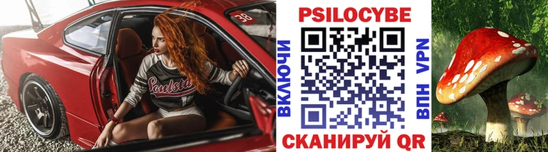 Псилоцибиновые грибы мухоморы  сколько стоит  Черкесск 