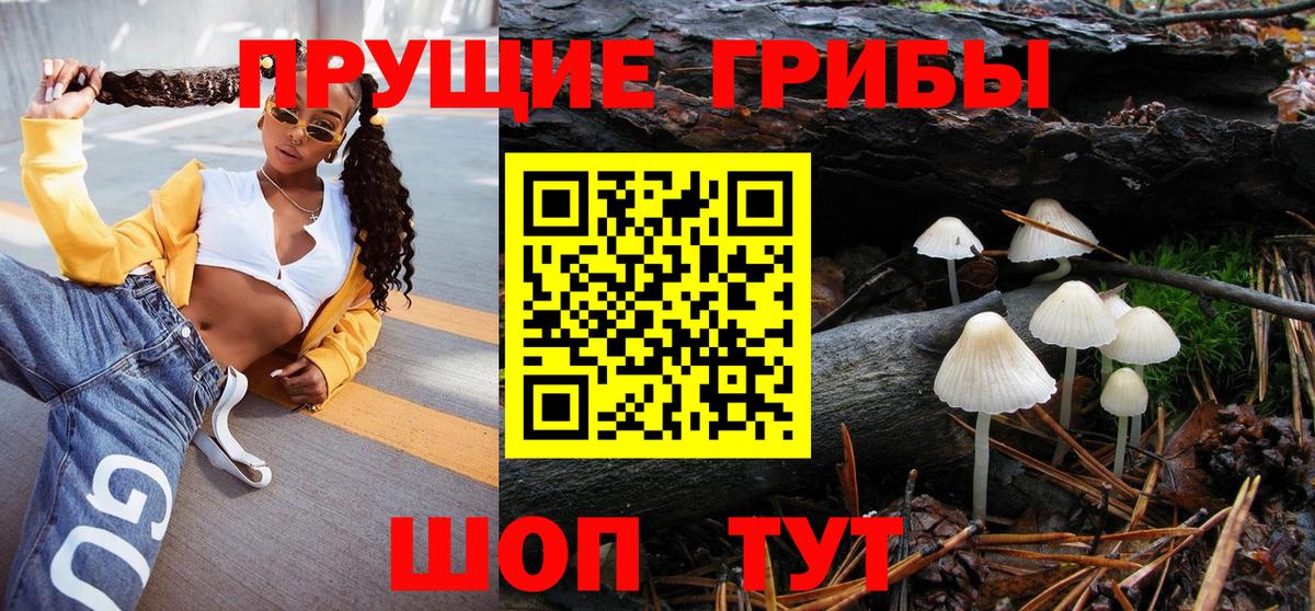 Галлюциногенные грибы Psilocybe  Вход с VPN  Псилоцибиновые грибы Cubensis  Черкесск 